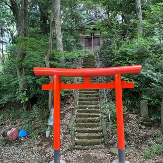 この神社の鎮守の杜なんですね、この山は