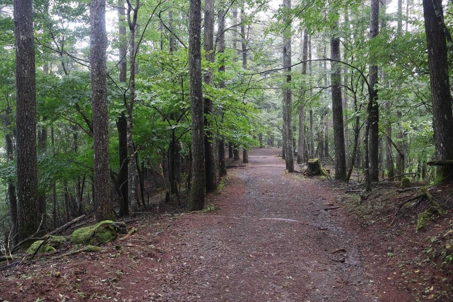 三ッ峠山 | 太宰治の随筆に登場する頂は、南アルプス・八ヶ岳・奥秩父の眺望も秀逸の写真