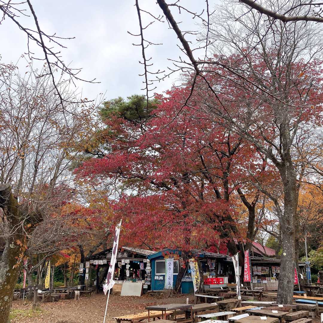 山頂の🍁はまあまあ