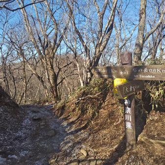 金冷し分岐
鍋割山方面へ