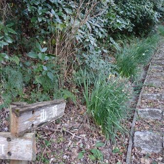 山頂方面へ↗︎