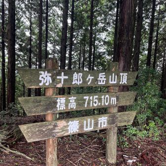 メインピーク🙌
木がけっこう生い茂ってて、眺望はチラ見え😅秋になったら少しは景色いいのかな。（落葉樹か知らんけど）
ちなみに名前の由来は諸説あるようで、名前や訛りから…と。ハッキリは分からないみたいです。