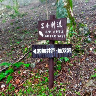 岩本新道分岐。