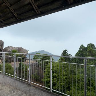 降ってきた…☔️⚡️