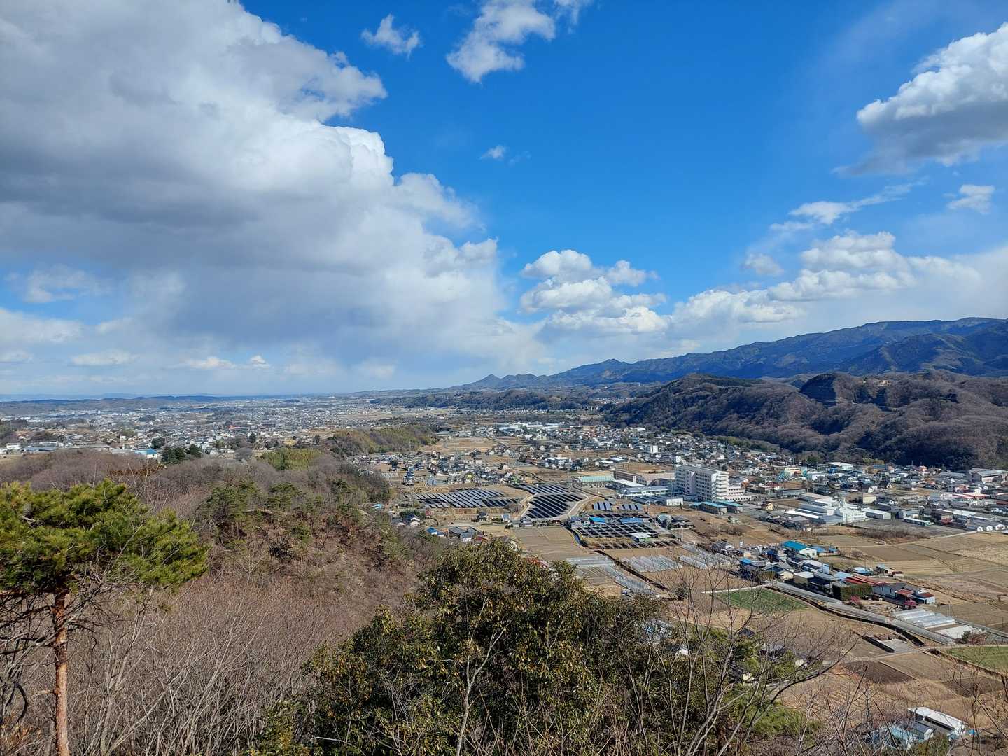 神成山ハイキングコース 周回の写真