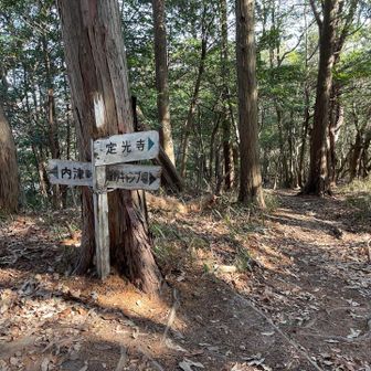 定光寺方面へ下りていきます
この後は登山よりトレランの方が多かった印象