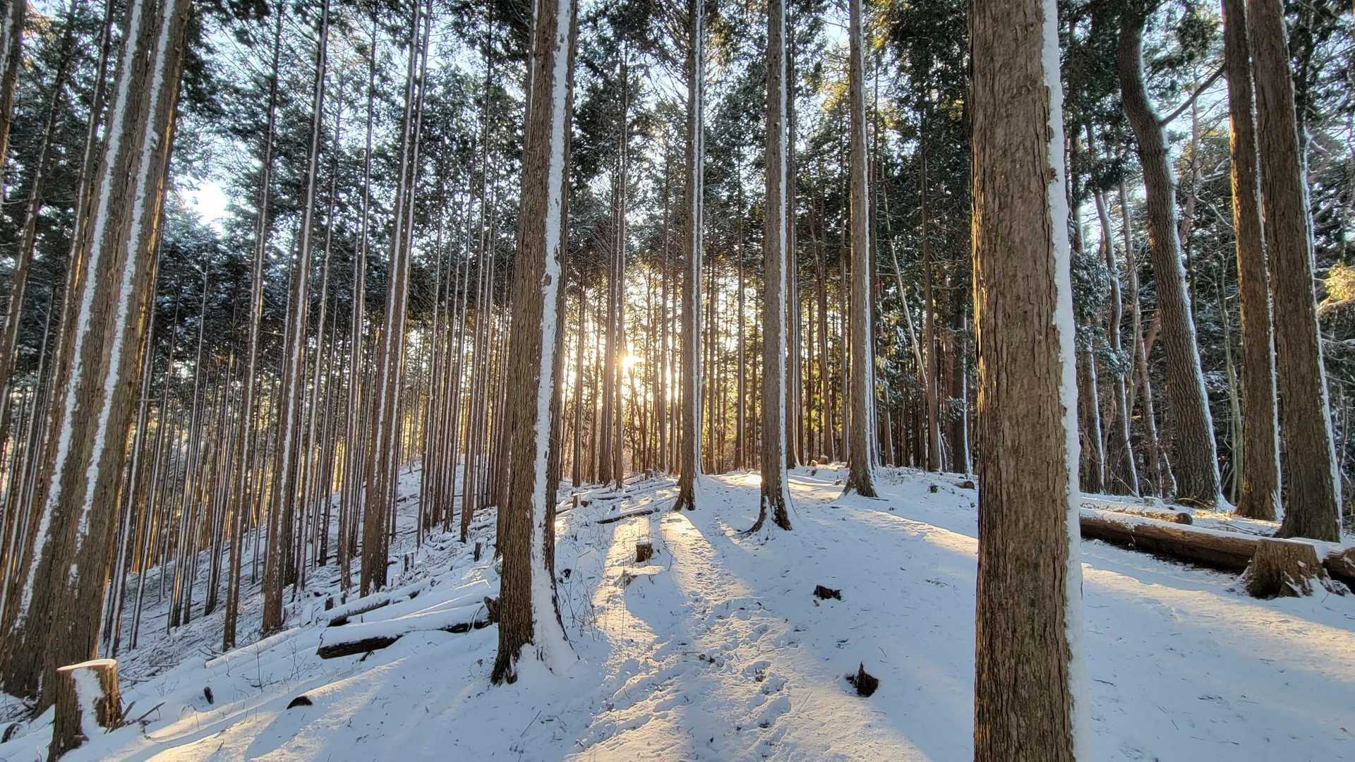 朝日が🌅今日の一日が良くなると言ってるよう☀