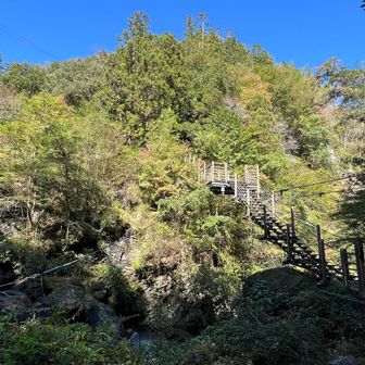 竜神橋🐲
左手にやませみ橋