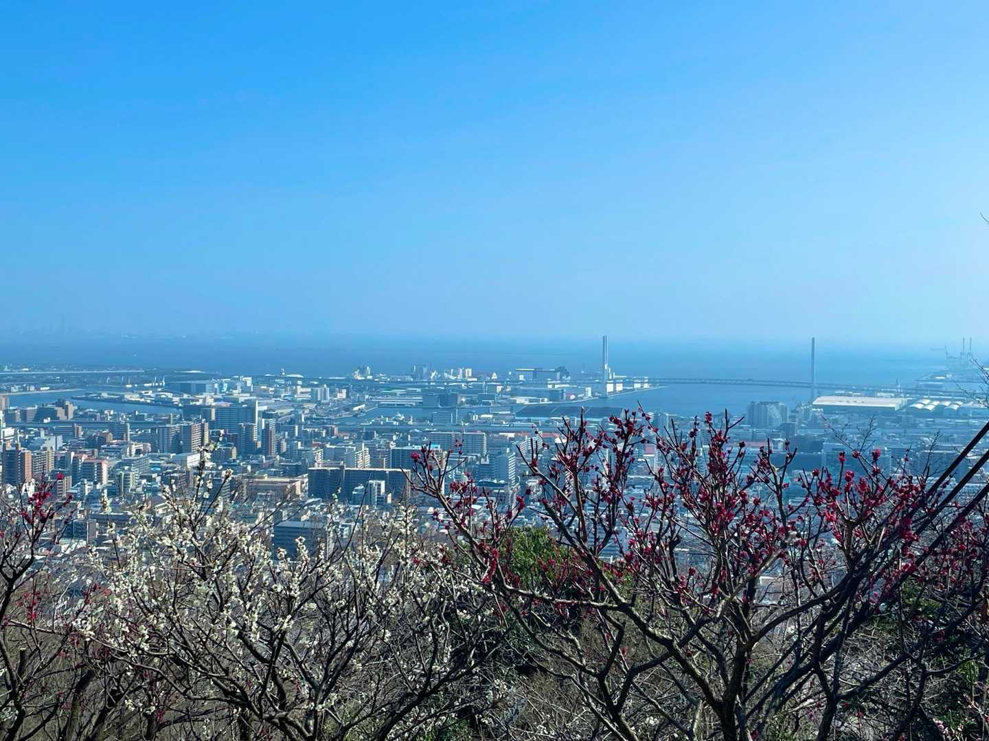 芦屋川駅-城山登山口-鷹尾山-荒地山-岡本駅 縦走コースの写真