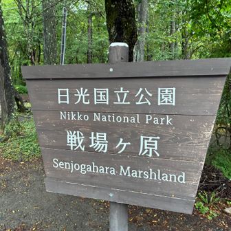 「戦場ヶ原」の，地名の由来は後ほどわかる