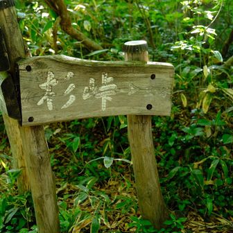 やっと杉峠到着