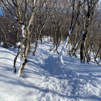 サクサク🥾🥾