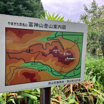 東口まで下ったら登りでも歩いてみたくなったので山頂に戻ります