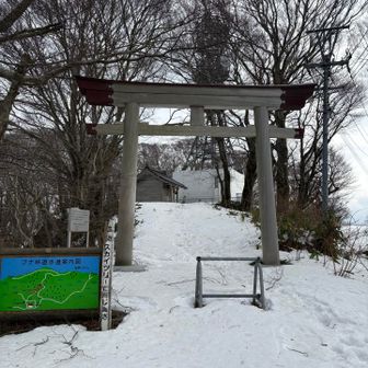 頂上にお宮さんあります