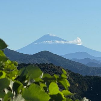 富士山もバッチリ