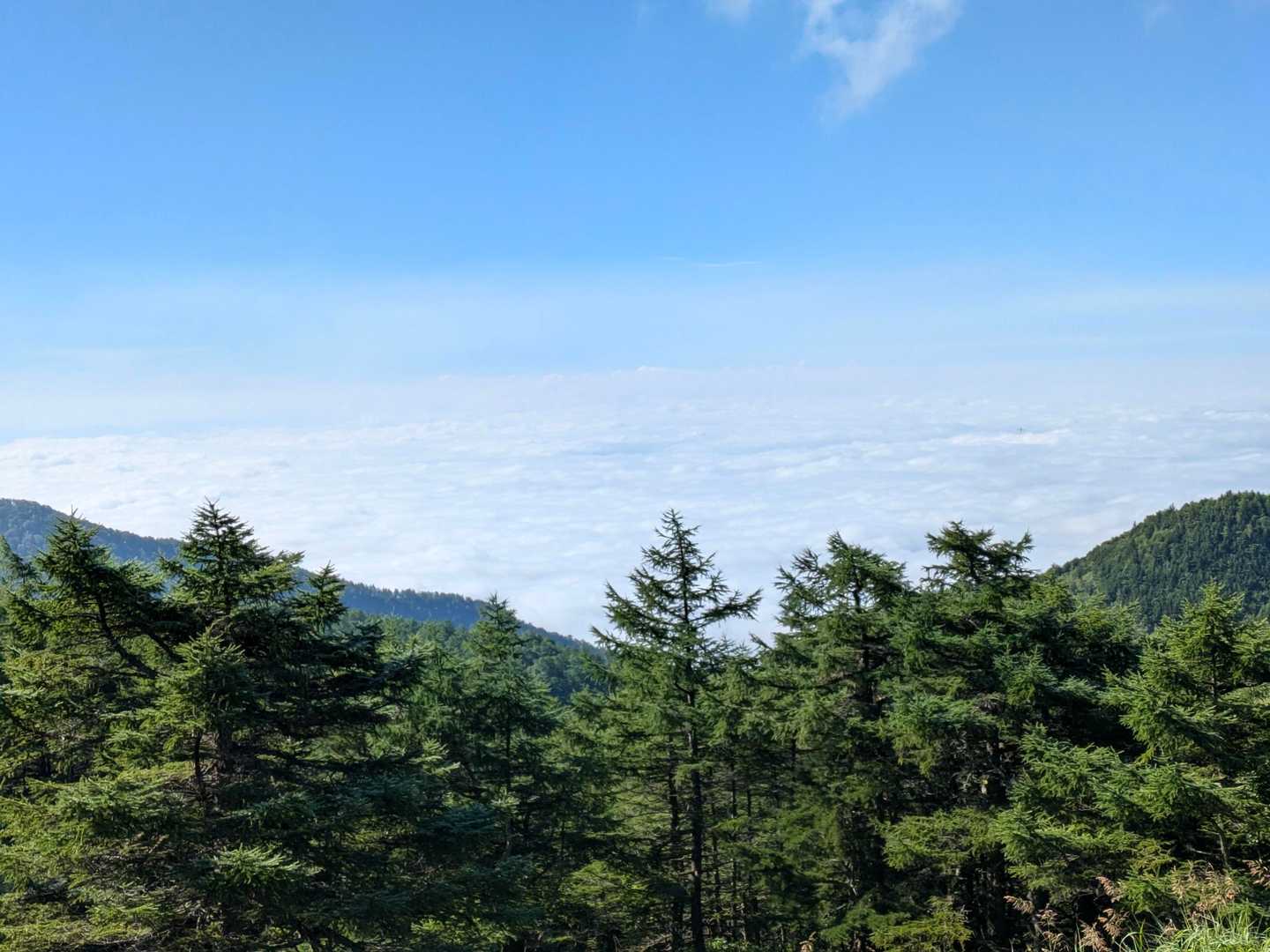 雲海
