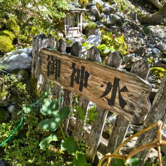 ちょっとよー飲まんかった(笑)