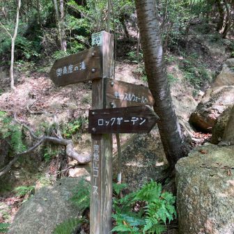 奥高座の滝は次回