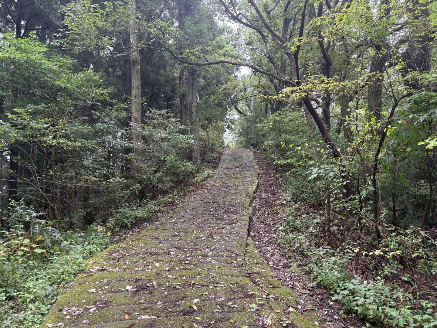 林道を歩く。