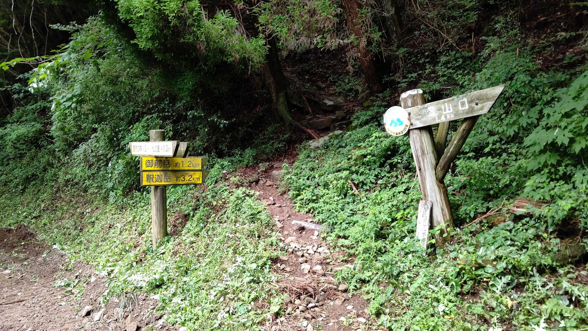 一度林道ヘ出て…また登山道へ