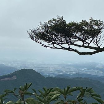 まだ降雨前なので景色はかろうじて