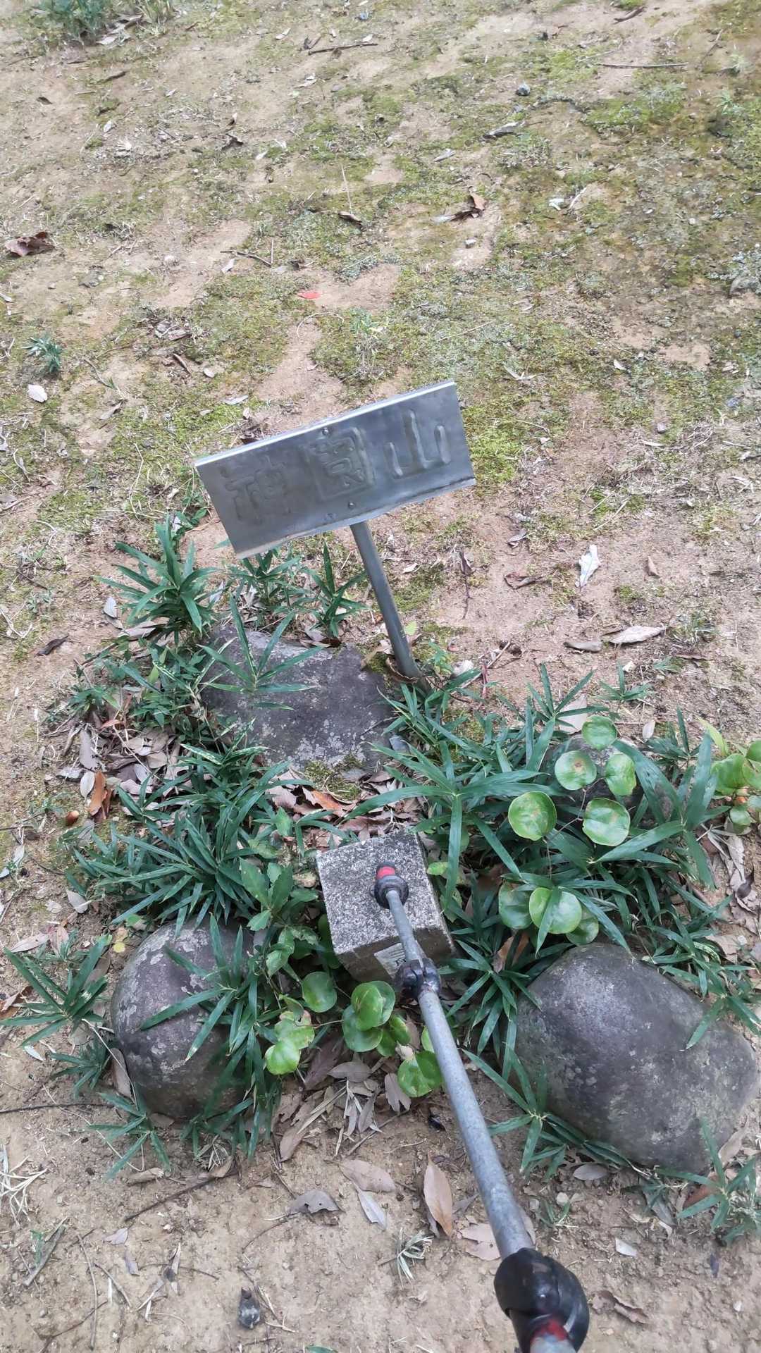 神園山-小山諏訪神社-小山山 周回コースの写真