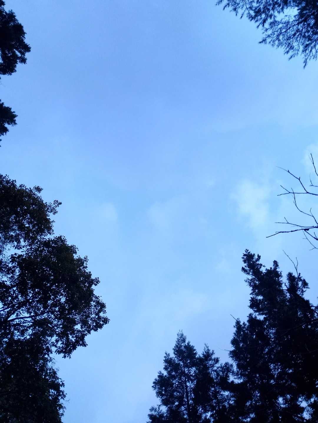 登山口に到着するまで降っていた雨が到着した途端にやみました☺㊗️

今日はもっているかもしれない☺

良いことあるかなあ…✨