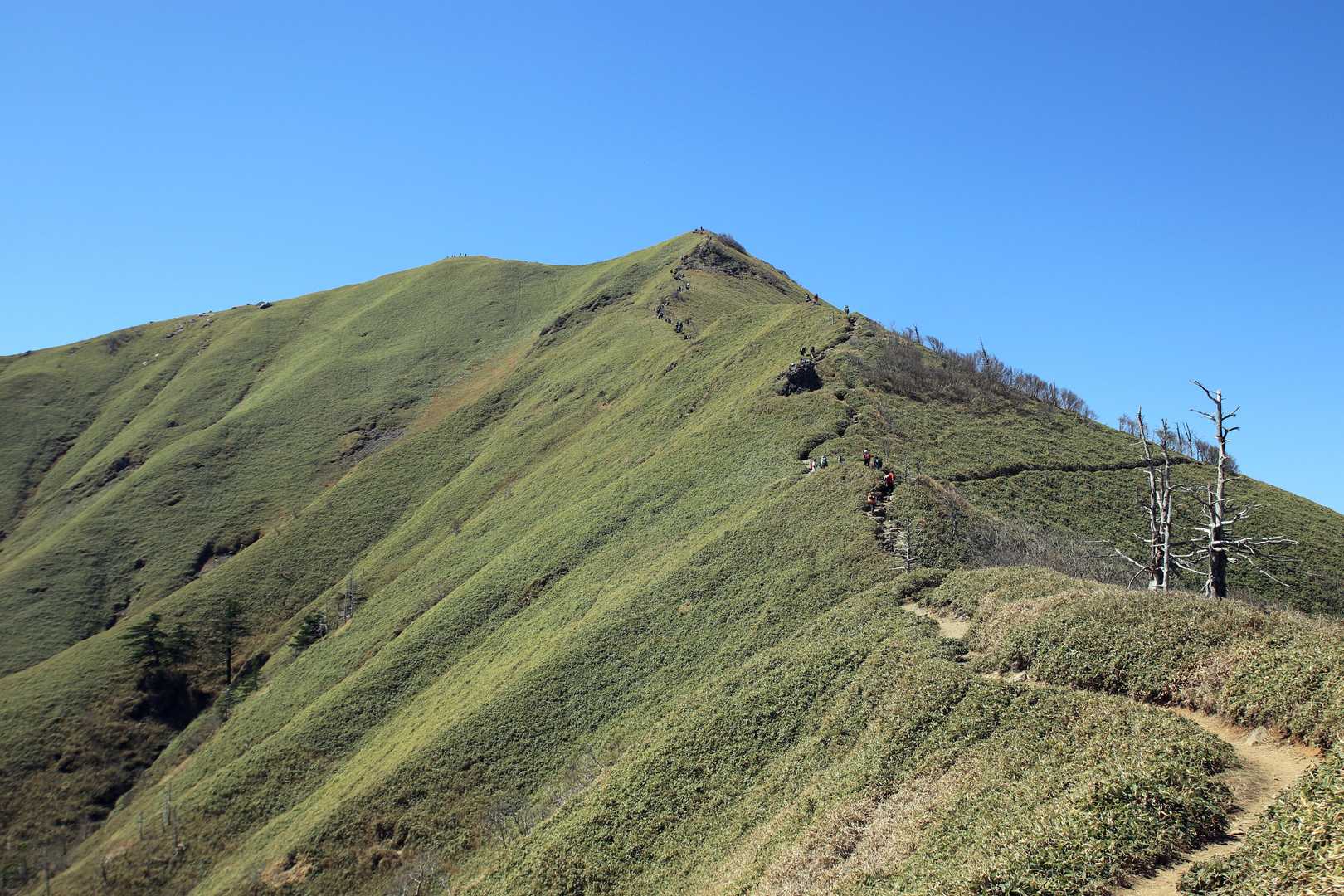 次郎岌の登りは山頂手前は急登りに見えますが実際はあっけなく山頂に立てます。