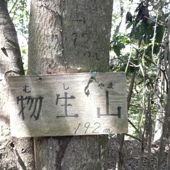 物生山到着