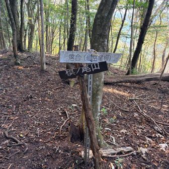 槇ノ尾山
ここから仙岳尾根を下りますが、ちょっと先の見晴台まで行ってみよう