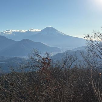 高川山からの富士山は結構お気に入りです

逆光もいいですね
