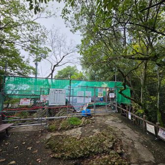一応、山頂かな？
岐阜城修繕工事の為､めい想の小径はここで行き止まりです。