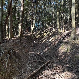 お詣りの後に、熊のとよくんを見にいくために
吉川城址コースを

妙見山明けの身体には、かなりのハードコース！
戻りたいけど戻れない
行くしかないーー💦