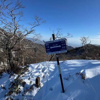 キノコ岩🍄‍🟫　この先から踏み跡なし🐾