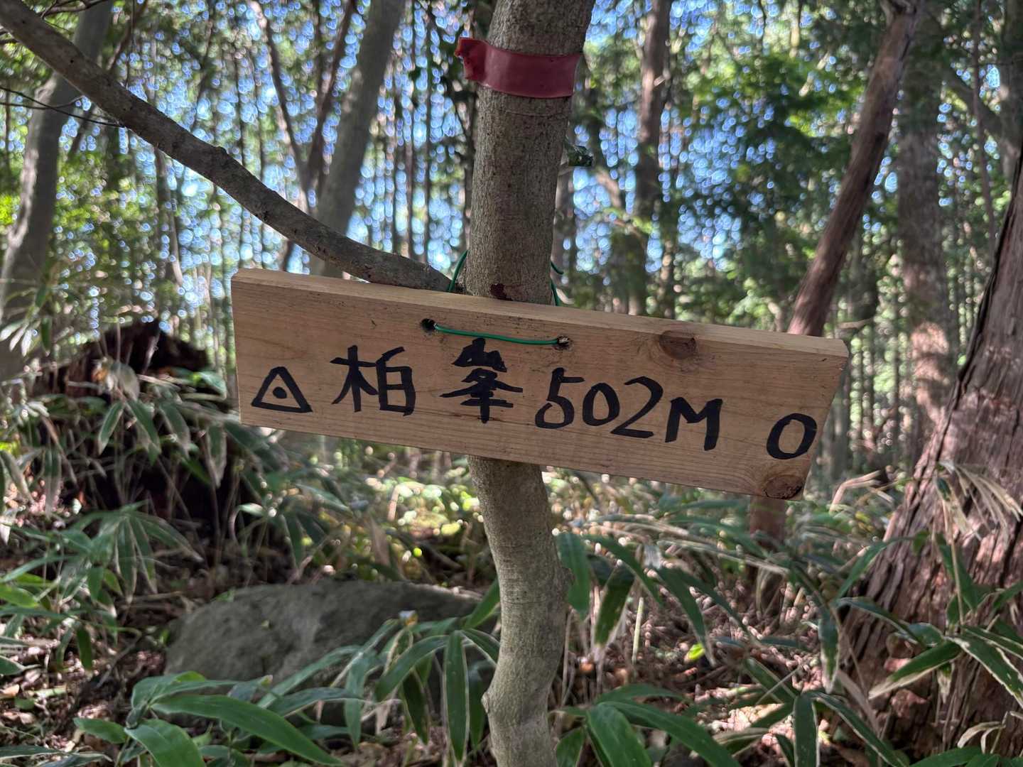 都介野岳 往復コースの写真