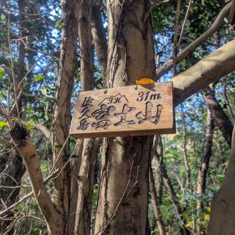 お腹パンパン🫄
元気モリモリ最後のピークへ
富士山🗻とうちゃこです