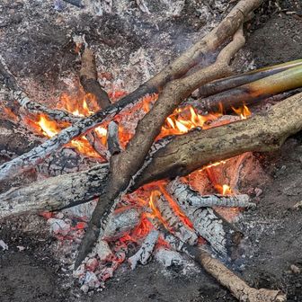 焼き芋もありました😍
竹の筒で温めた熱燗もありました。
振る舞い酒もあるので毎年みなさん交通公共機関を利用されて参列されるそうです。
私はお酒飲めないので見るだけでしたが、とても美味しそうにみなさん飲まれててそれを見るだけでなんかほっこりしました😊
