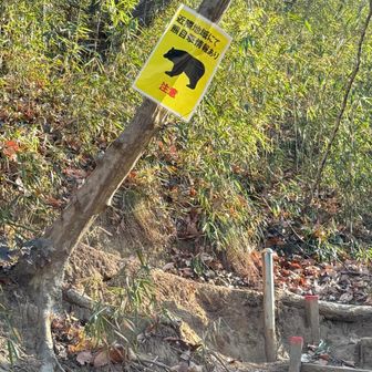 🐻の看板
複数いるのか気になる所
