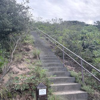 階段嫌い☺️