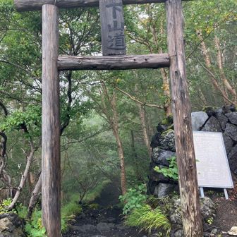 ここから森の中へ