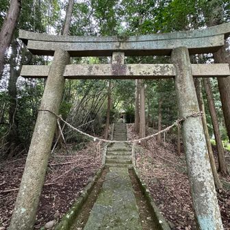 日枝神社…⛩️