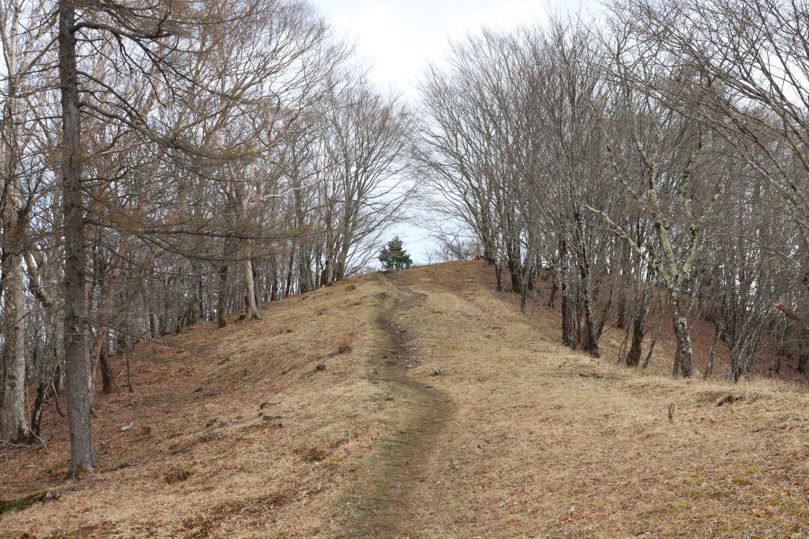 石尾根最高ですね