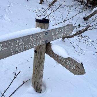 ちょうど真ん中あたり
まだまだかな。。