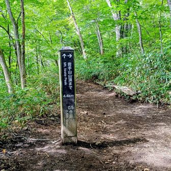 結構歩いたと思ったがまだ0.5合目w