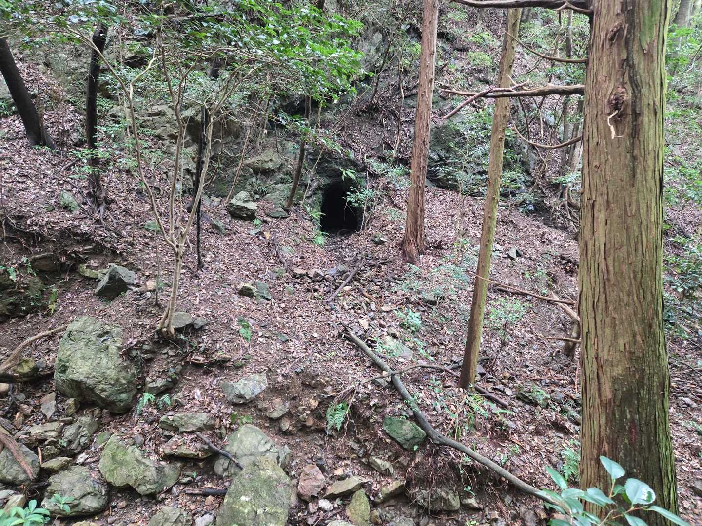 穴がある
🐻出てこないよね？