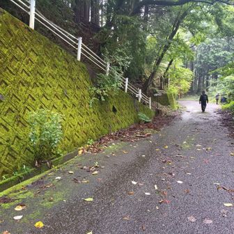 いつもの登り口に戻ってきました