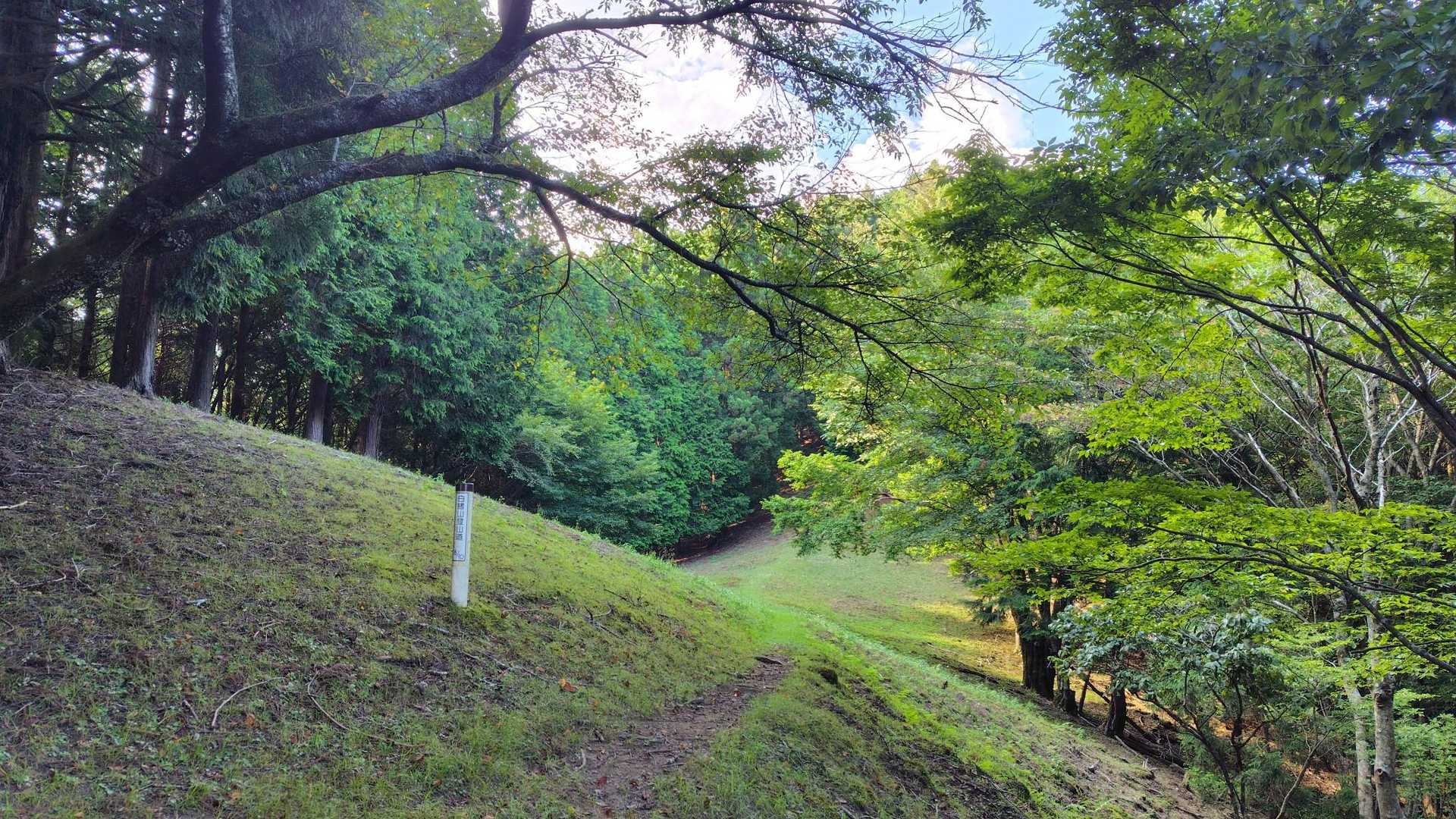 山頂を目指します
もうひと越えです