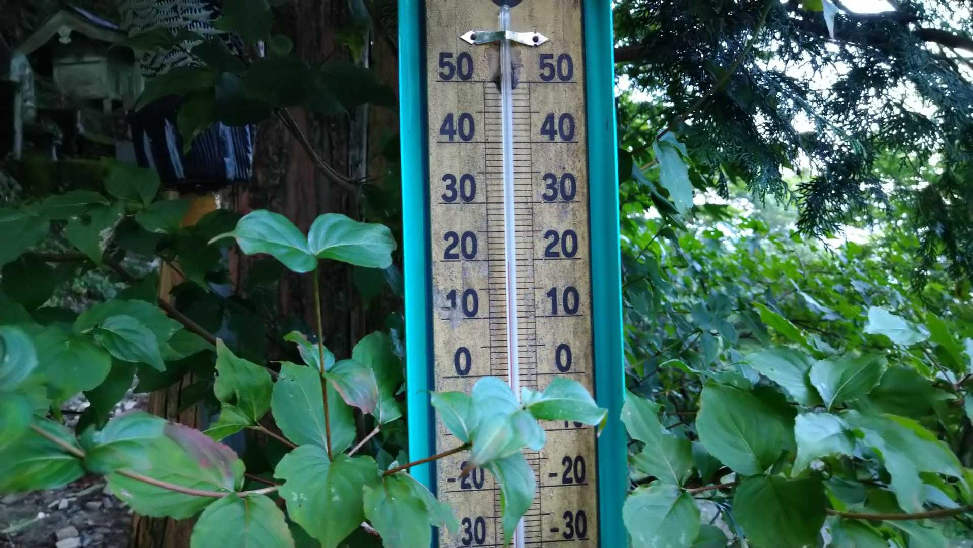 気温は20℃ほど。
湿度もなく歩くのにも程良い😊