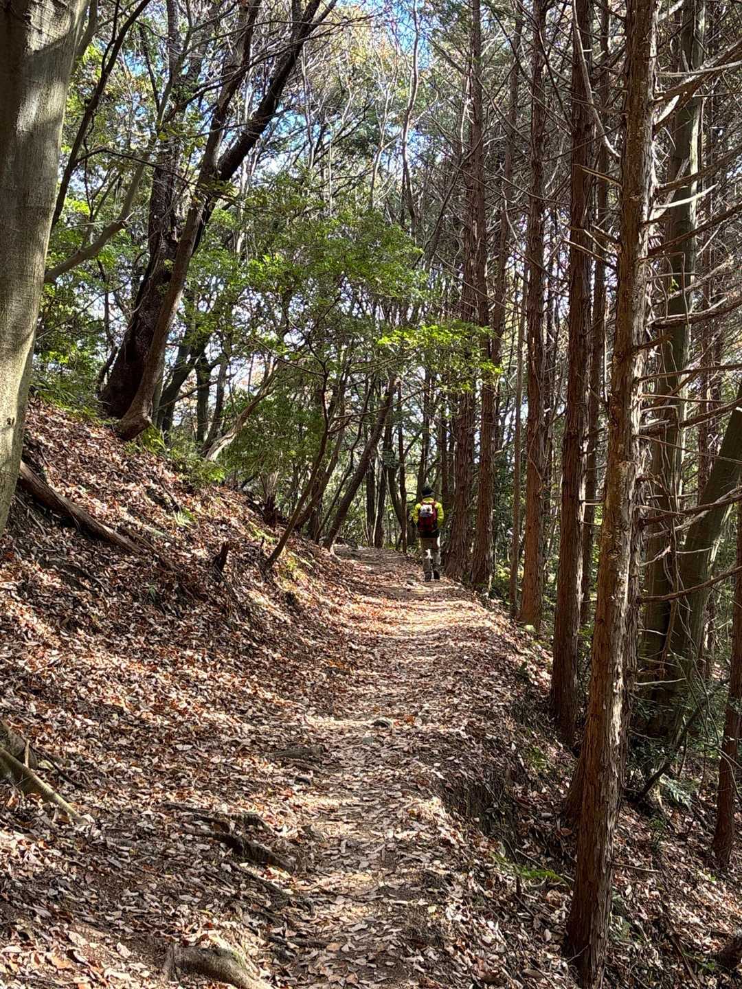 内山コース登山口-宮路山 往復コースの写真