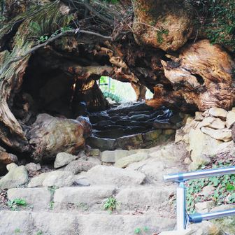 ここをくぐることができます